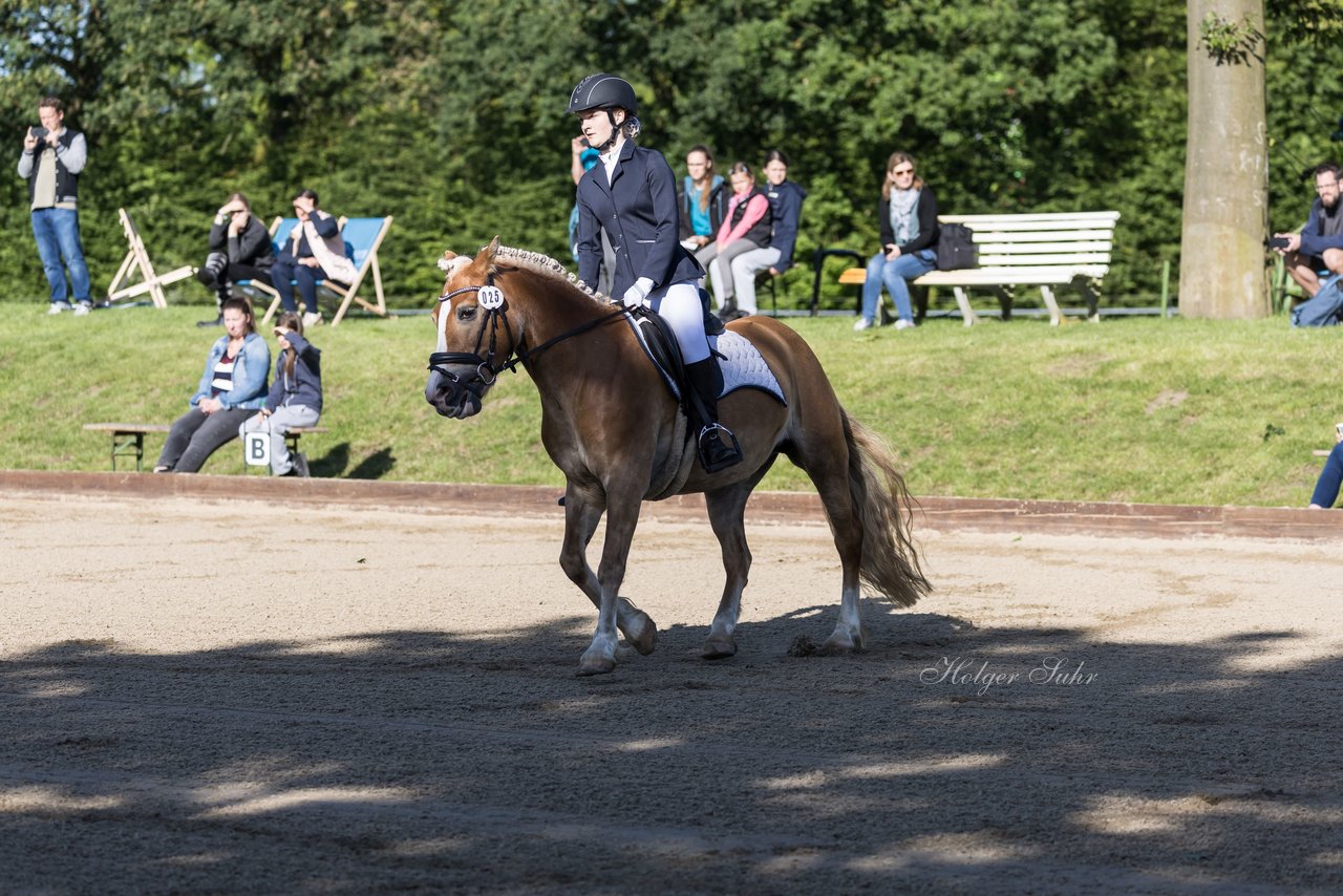 Bild 46 - Pony Akademie Turnier